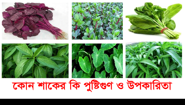 You are currently viewing ৬টি শাকের উপকারিতা, লাল শাক, কলমি শাক, পালং শাক, পাট শাক, কচু শাক, পুঁইশাক